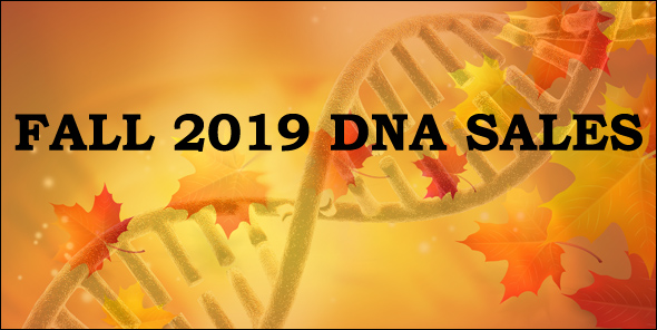 Fall DNA sales