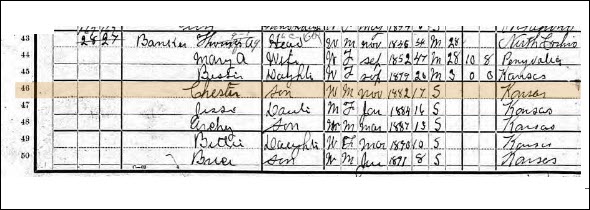 Chester in census